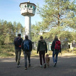 Der Rumberg-Steig in Ludwigswinkel