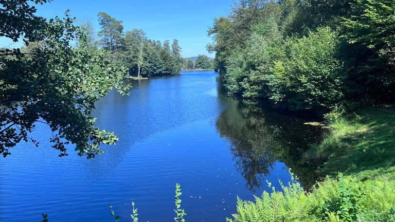 Ein Highlight ist unter anderem auch der Sägmühlweiher, der im Sommer gerne zum Baden genutzt wird.