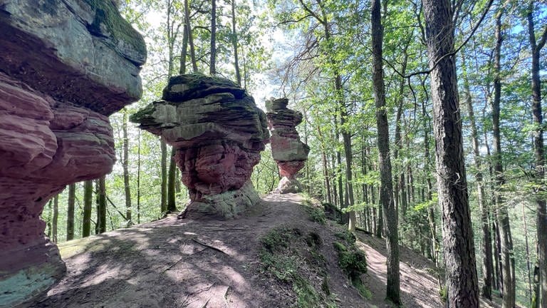 Auch die Rumbergfelsen mit ihren bizzarren, markanten Felsformationen können bestaunt werden.