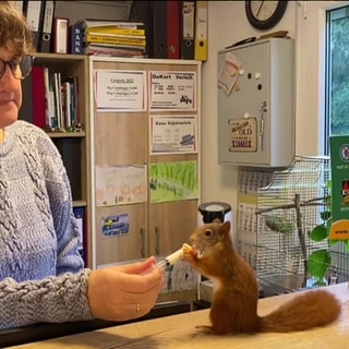 Frau kümmert sich um Eichhörnchen