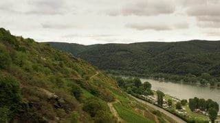 Aufnahme vom Mittelrheintal bei Koblenz