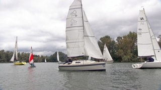 Segelregatta auf dem Kollersee