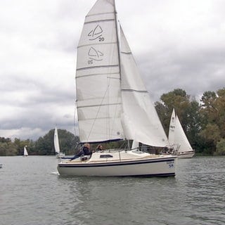 Segelregatta auf dem Kollersee