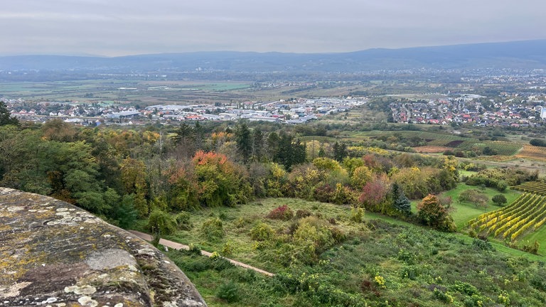 Entlang der Route kann man bei klarem Wetter bis in den Hunsrück und den Rheingau schauen.