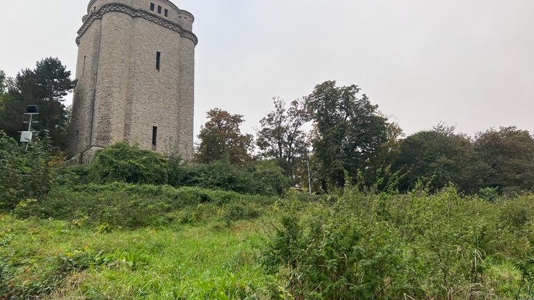 Diese Route der Hiwweltour bei Ingelheim führt am Bismarckturm vorbei.