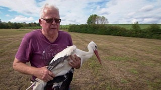 Helmut Weber ist der Greifvogel-Retter