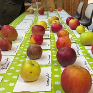 Äpfel liegen auf einem Tisch