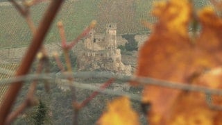 Burgruine Ehrenfels