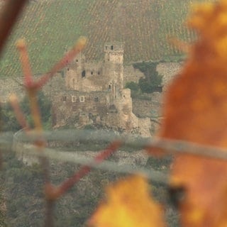 Burgruine Ehrenfels