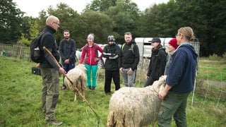 Nachwuchs-Führungskräfte lernen mit der Schafherde