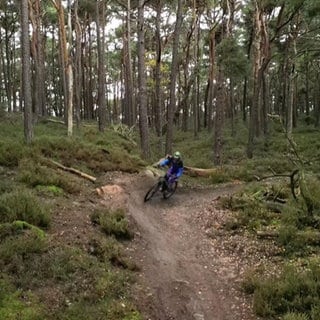 Mountain Bikerin