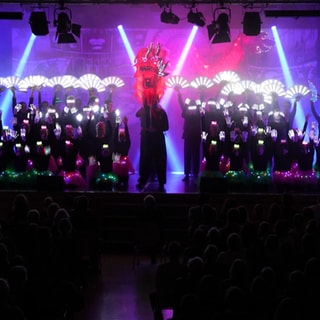 Bunte Lichter bei der großen Premiere des Schul-Musicals der IGS Pellenz in Plaidt.