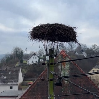 Storchennest