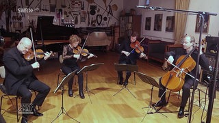 Die vier Musiker des Mandelring-Quartetts