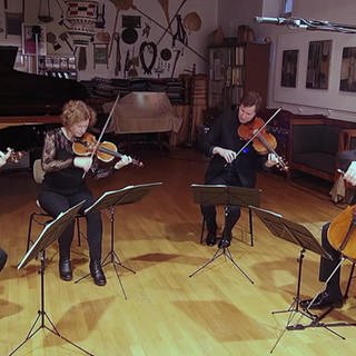 Die vier Musiker des Mandelring-Quartetts