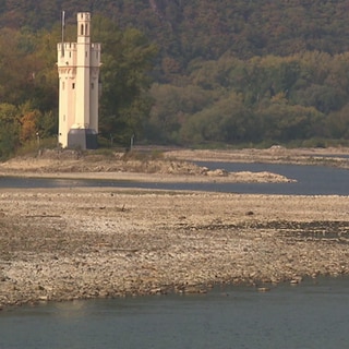 Niedrigwasser und höhere Wassertemperaturen: Der Klimawandel verändert das Mittelrheintal