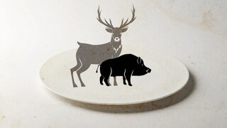 Nachhaltig und nachwachsend - Fleisch von Wildschwein, Reh und Co.