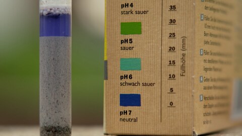 Der pH-Wert eines Bodens ist entscheidend für das Pflanzenwachstum