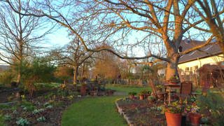 Garten von Anne Rahn in der März-Abendsonne