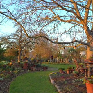 Garten von Anne Rahn in der März-Abendsonne