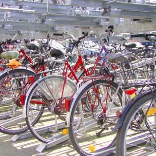 Fahrräder an einem Sammelpunkt, wie etwa Bahnhof oder Uni