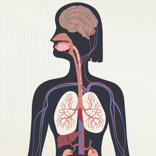COPD ist eine chronische Lungenerkrankung.