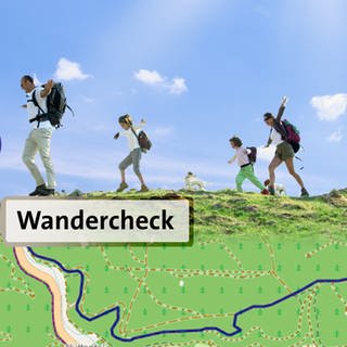 Wandercheck