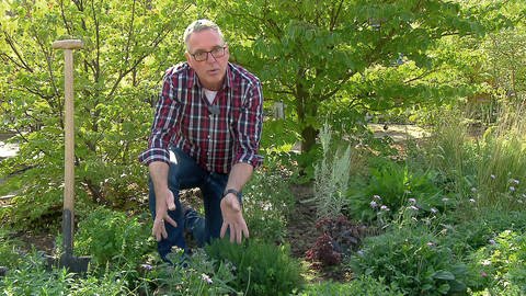 Gartenexperte Werner Ollig im Garten