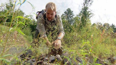 Biologe Philipp Schiefenhövel von der Will-und-Lieselott Masgeik-Stiftung in Molsberg im Westerwald dreht in einem Steinbruch Steine um, unter denen Schlangen zu finden sind.