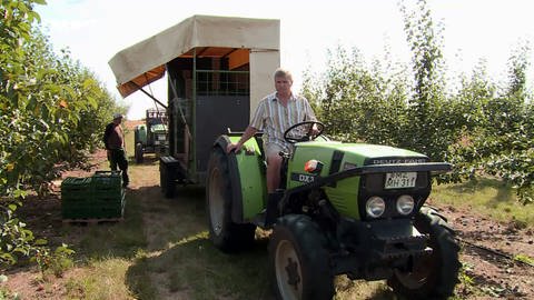 Markus Hochhaus auf seinem Traktor in einer Obstplantage in Mainz-Finthen