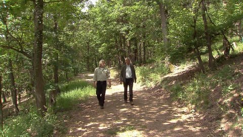 Zwei Forstbeamten laufen auf einem sonnendurchstrahlten Waldweg auf den Betrachter zu.