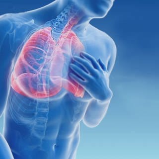 Grafik mit Lunge, Skelett und gekennzeichneten Bronchien