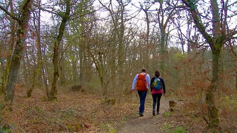 Paar wandert im Winterwald