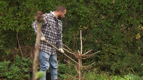 Thomas Müller in Mainz arbeitet in seinem Garten.