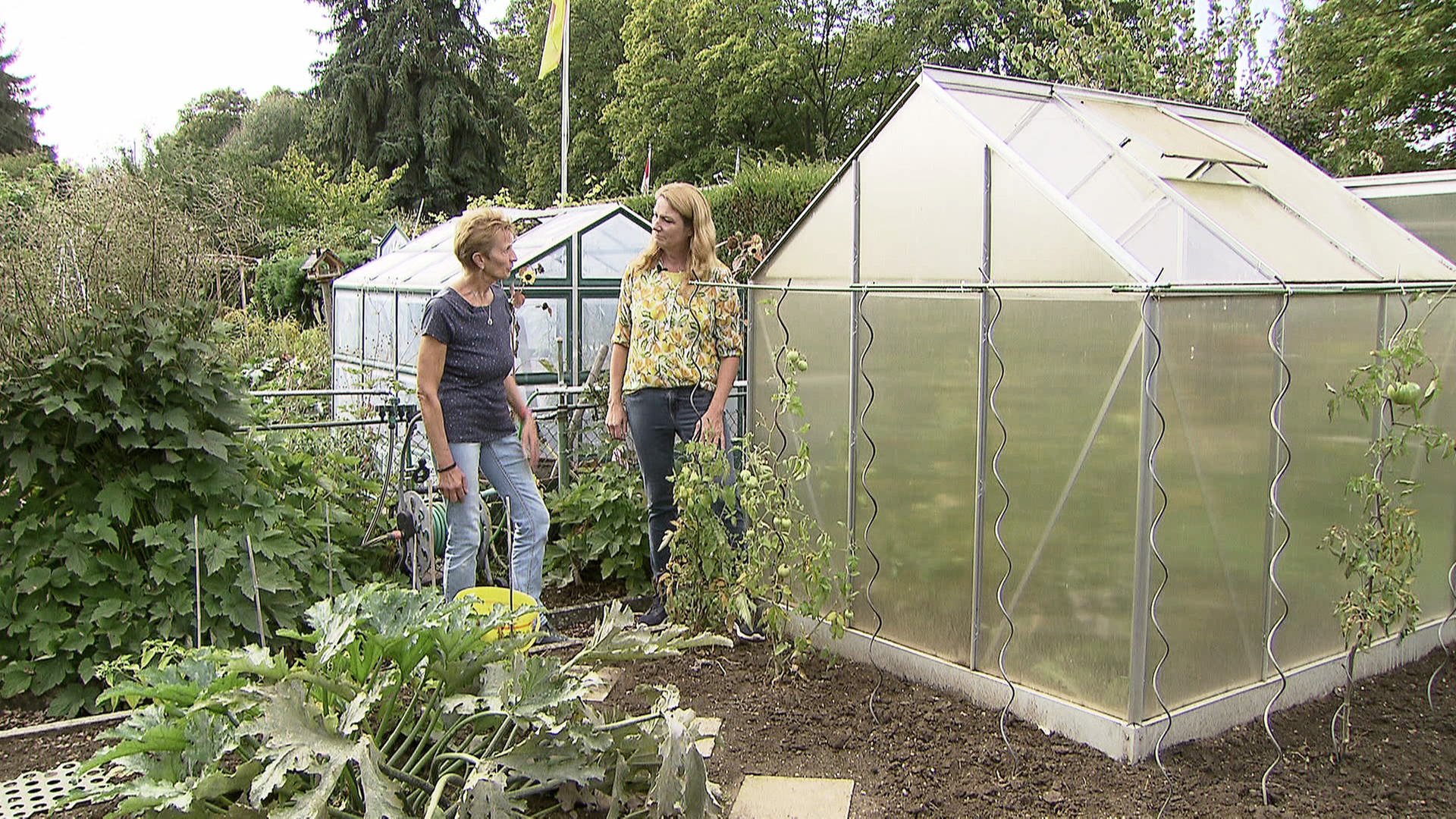 Im Oktober Den Garten Aufraumen Gut Zu Wissen Landesschau