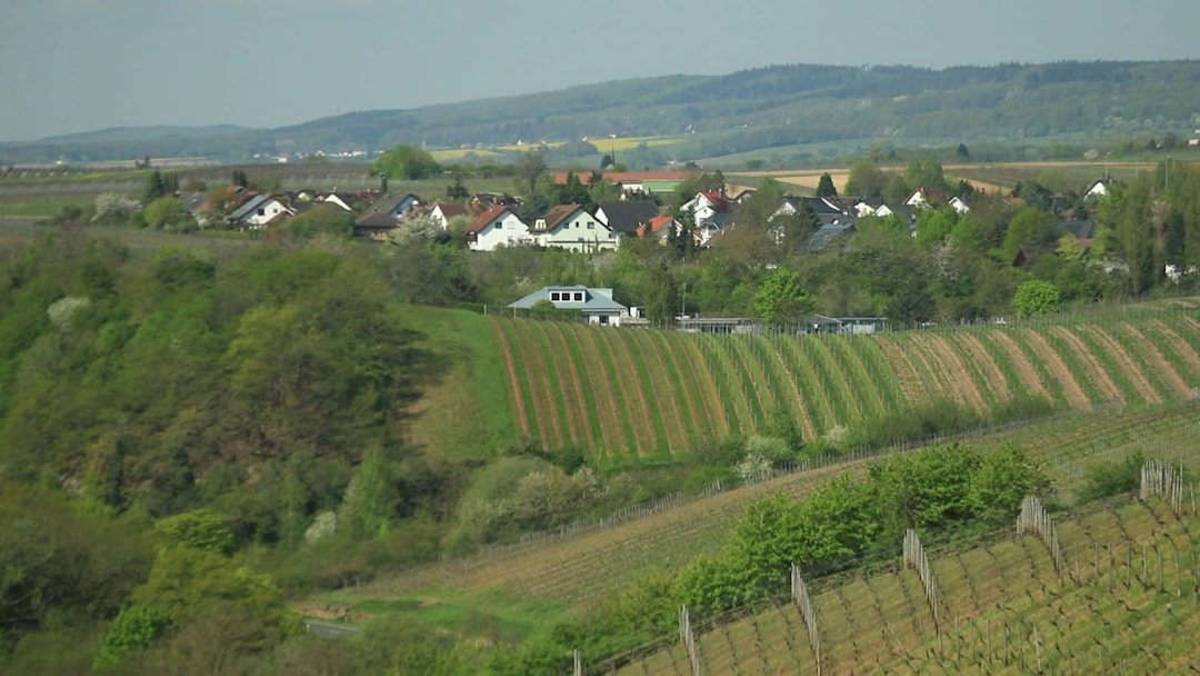 Hierzuland Rummelsheim Landesschau Rheinland Pfalz Swr Fernsehen