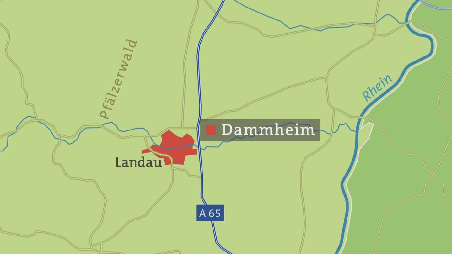 Dammheim Landesschau Rheinland Pfalz Swr Fernsehen