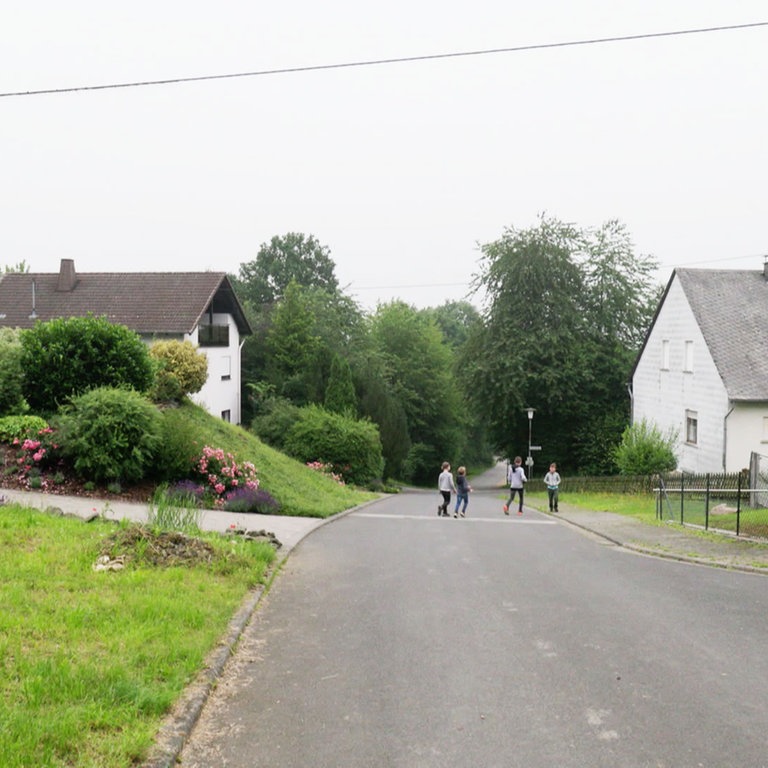 Die Pferdsweide In Rohrbach - Landesschau Rheinland-Pfalz - TV