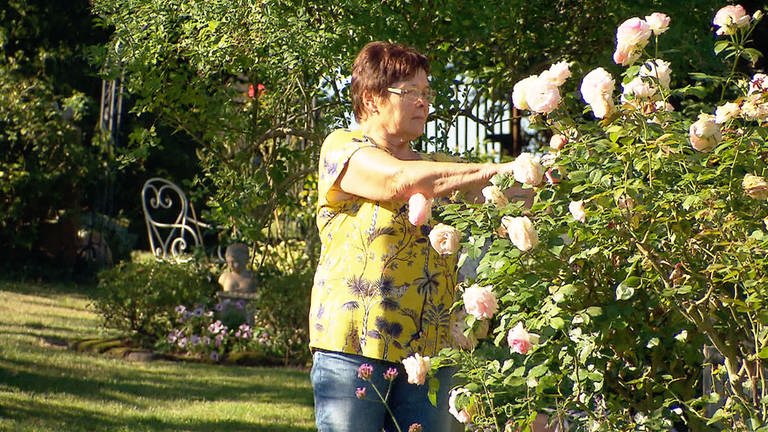 Klingen  - Margit Pfalzgraf und ihre Rosen