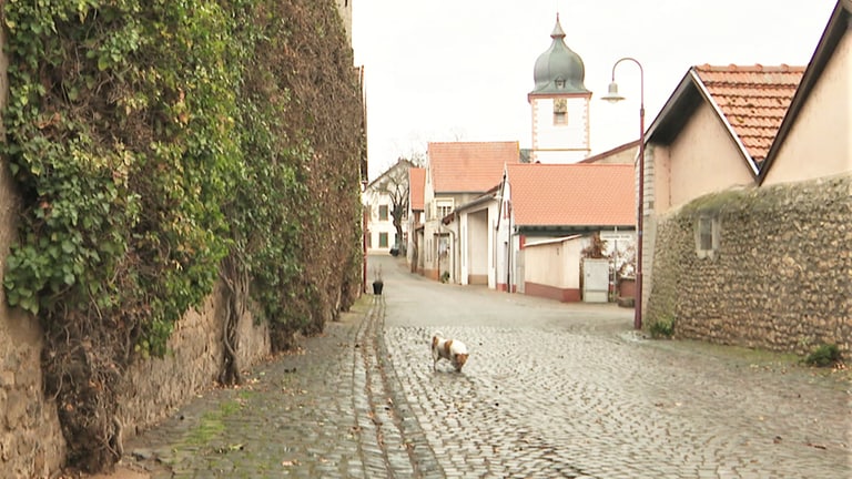 Girl aus Wachenheim an der Weinstraße