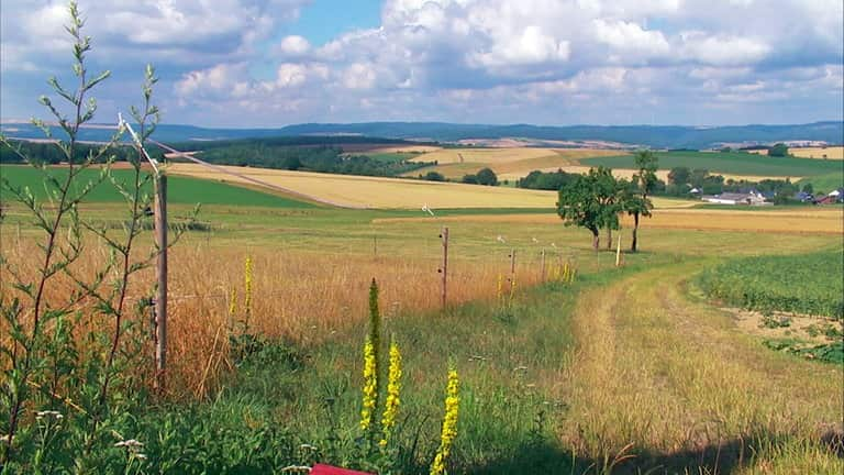 HZL - Oberwallmenach - Blick in den Hunsrueck