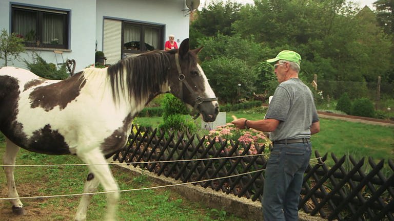 Hierzuland Finkenbach Füttern von Pferd