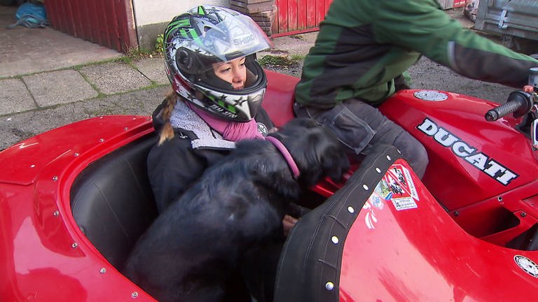 Wahlenau - Ein Motorradgespann mit Hund