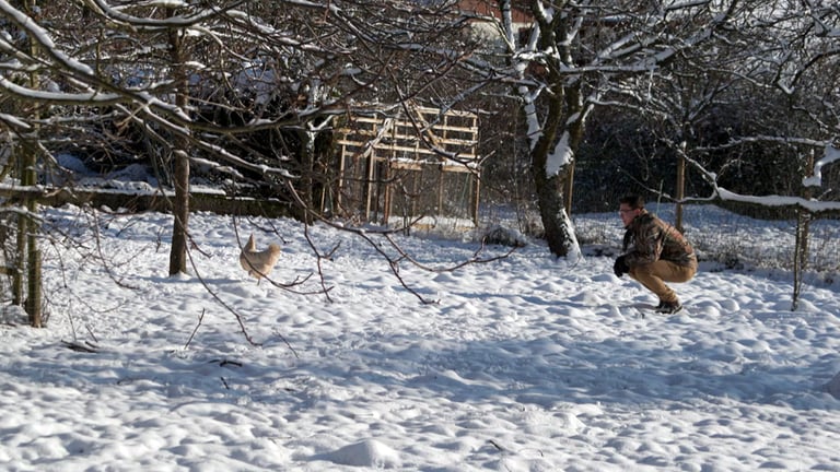 Hierzuland Münchwald, Junglandwirt