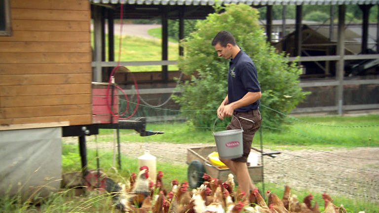 Hainau Mann beim Huehner fuettern