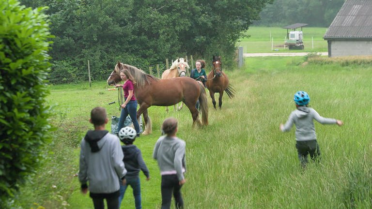 Rohrbach - Kinder mit Pferden