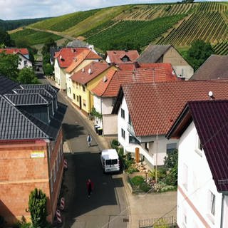 Weinbergsstraße in Sommerloch