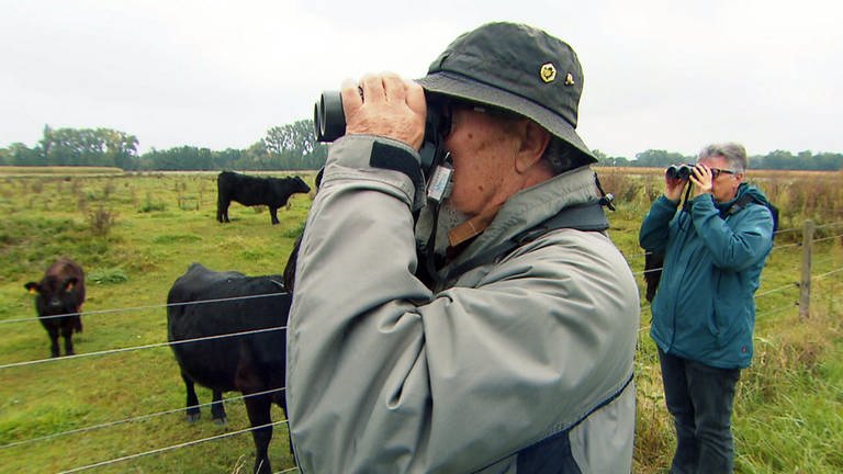 Hierzuland Harthausen, Vogelbeobachter