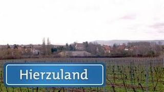 Obersülzen