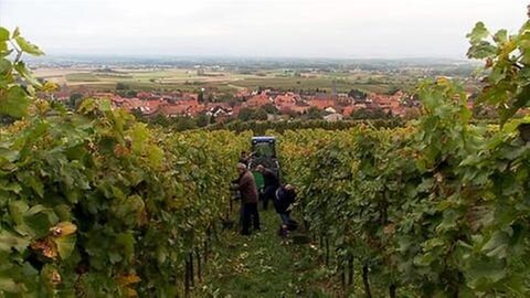 Blick auf Schweigen-Rechtenbach